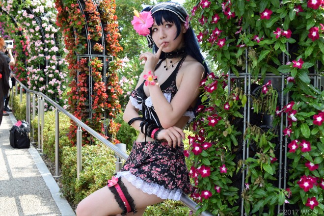 �u���E�R�X�v���T�~�b�g2017�v�̗l�q