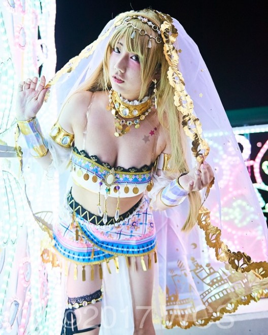 �u���E�R�X�v���T�~�b�g2017�v�̗l�q