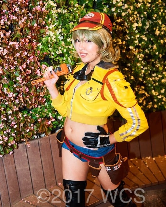 �u���E�R�X�v���T�~�b�g2017�v�̗l�q