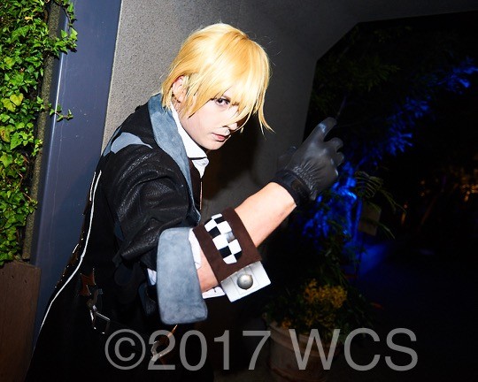 �u���E�R�X�v���T�~�b�g2017�v�̗l�q