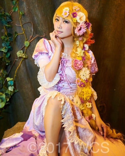 �u���E�R�X�v���T�~�b�g2017�v�̗l�q