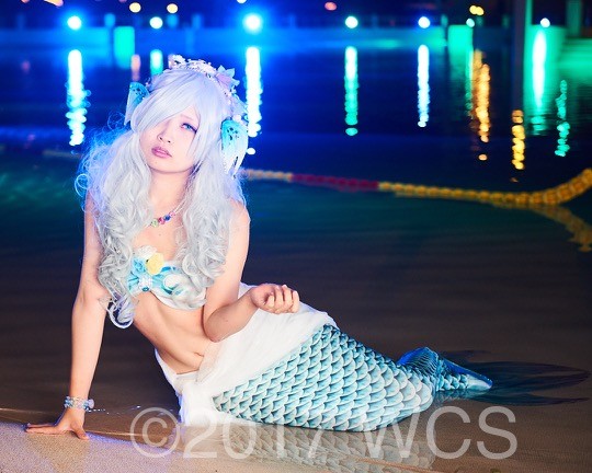 �u���E�R�X�v���T�~�b�g2017�v�̗l�q