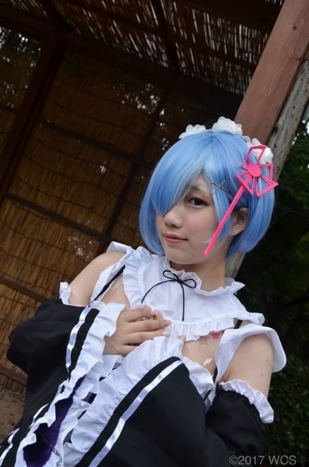 �u���E�R�X�v���T�~�b�g2017�v�̗l�q