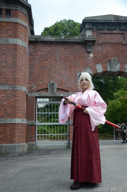 �u���E�R�X�v���T�~�b�g2017�v�̗l�q