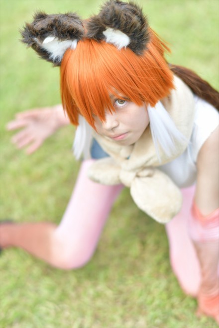 �w�R�~�P94�iC94�j�x�R�X�v���C���[�E�z������<br>�i�w�����̃t�����Y�x�^�e�K�~�I�I�J�~�j