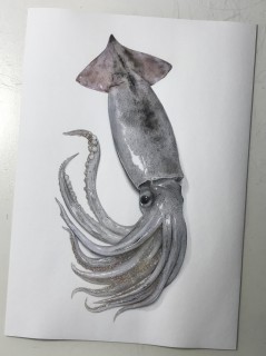 画像 写真 40万いいね を集めた えだまめ 本物にしか見えない 焼き鳥 鯛 など食テロイラスト 制作過程 1枚目 Oricon News