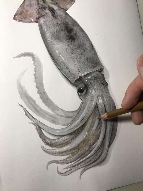 �X�����C�J�@����ߒ�