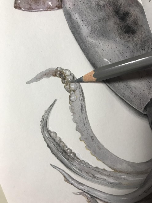 �X�����C�J�@����ߒ�