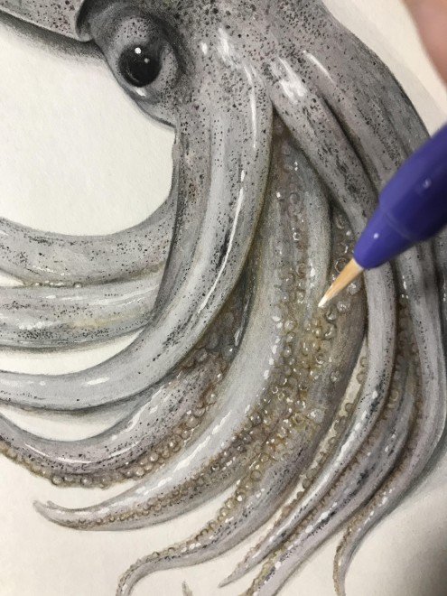 �X�����C�J�@����ߒ�