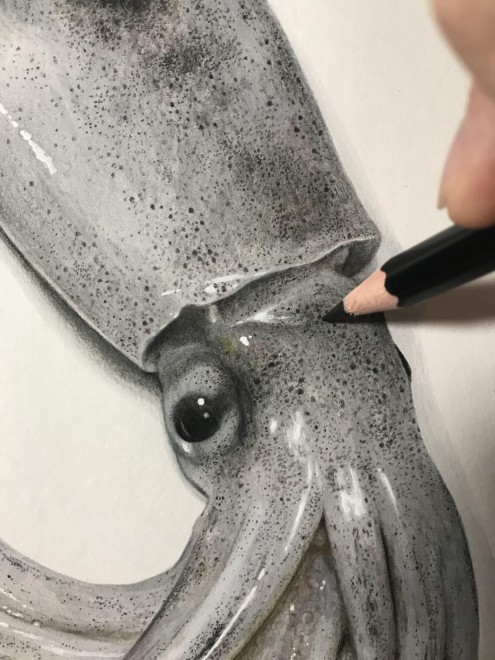 �X�����C�J�@����ߒ�