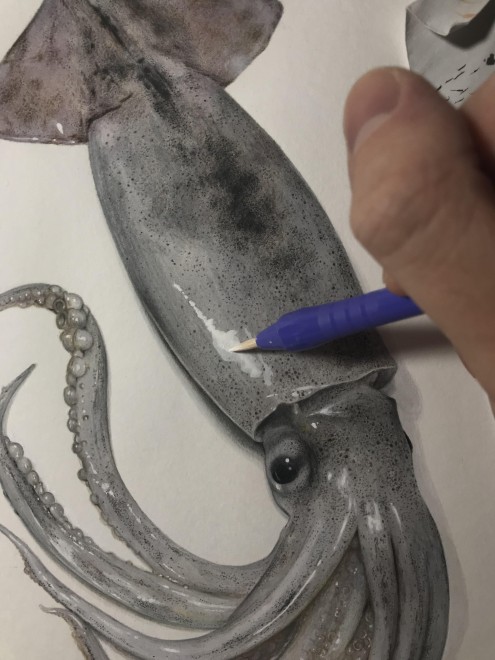 �X�����C�J�@����ߒ�