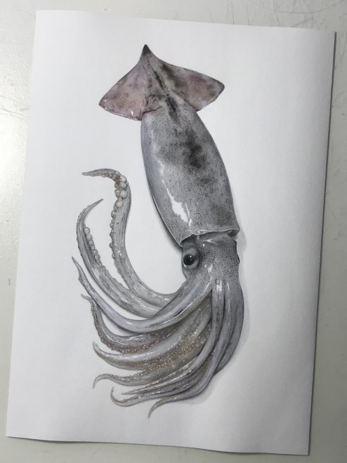 �X�����C�J