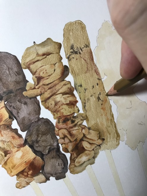 �Ă����@����ߒ�