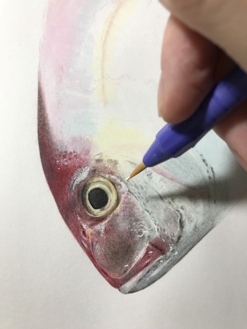 �^��@����ߒ�