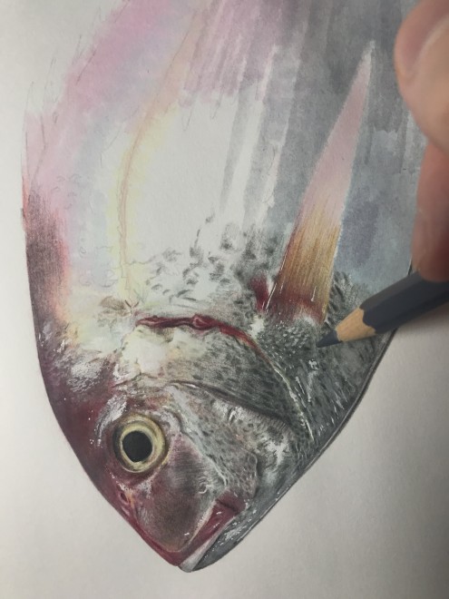 �^��@����ߒ�