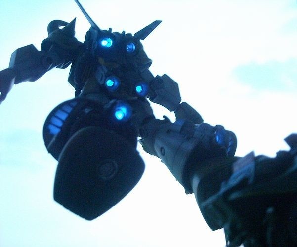 2013N삵uP/144 lruOts^v o[jASĂɓd{ĂBB݂ɎBeՏꊴ\B FN