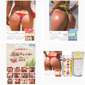 10���N�́w�n�C�T���[���K�J�����_�[2019�x