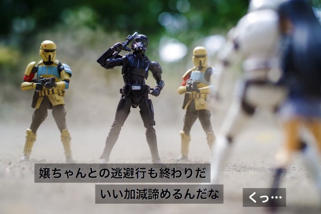 �V���G�b�g�i1/4�j