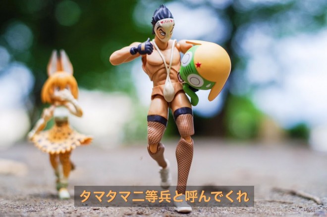 �N�����}�i5/5�j