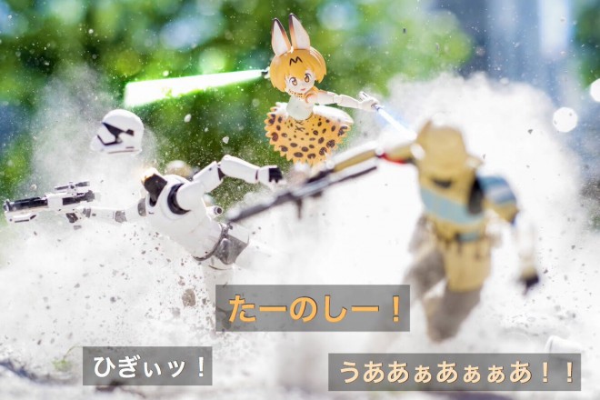 �F����育�����i4/5�j