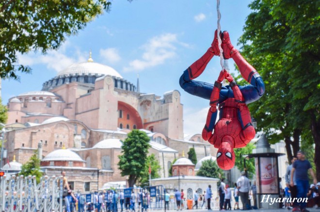 ��F�Ђ����񂳂�