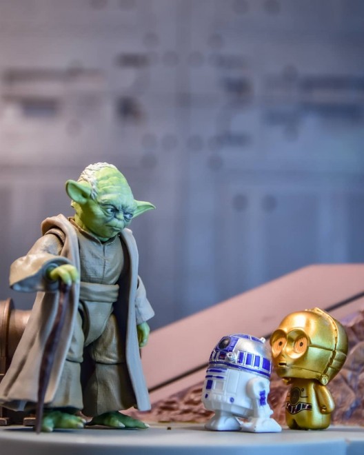 ��FIKOL����