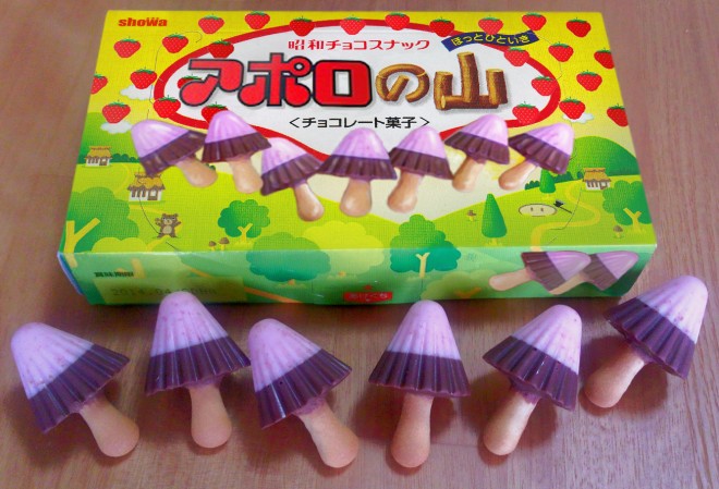 �A�|���̎R