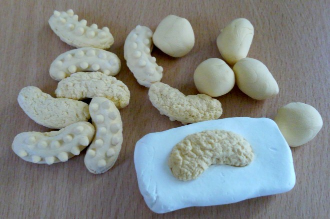 �u�Ȃ܂��̊C�v����ߒ�