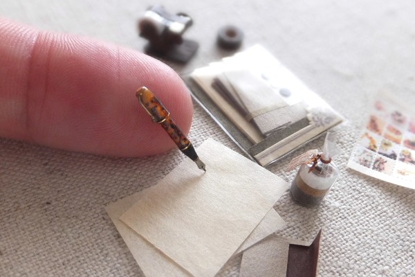 �y���N�M�z���쁕�ʐ^�^Shibazukeparipari