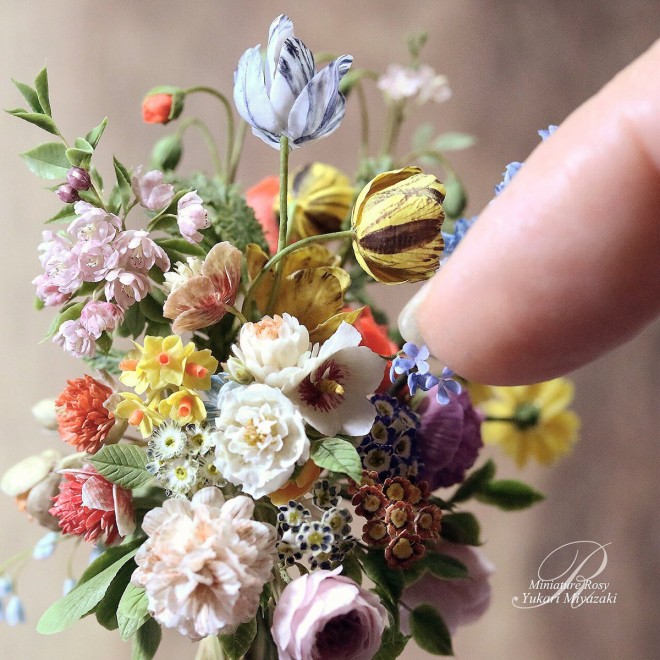 �y�����E�t�����X�E�t�@���E�_�[���G��̗��̖͎ʁz���쁕�ʐ^�^ROSY