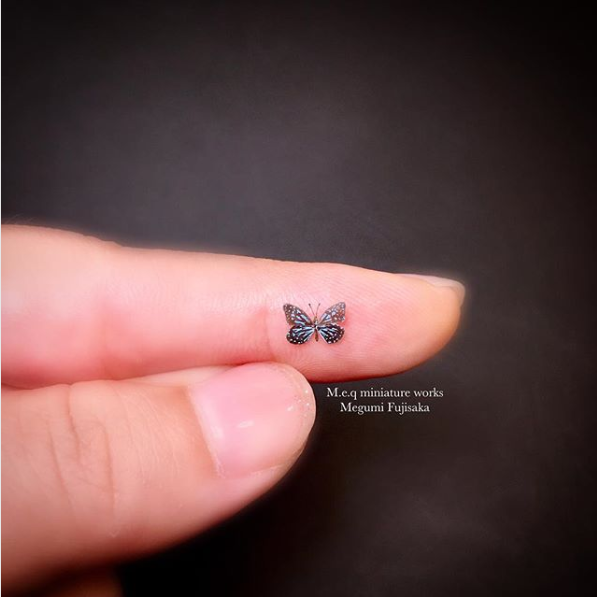 �y�E�X�R�����}�_���z���쁕�ʐ^�^meq