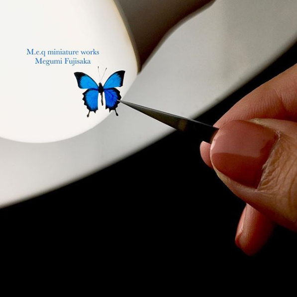 �y�����V�X�z���������B �`���ĂȂ��������悭�����邻���B���쁕�ʐ^�^meq