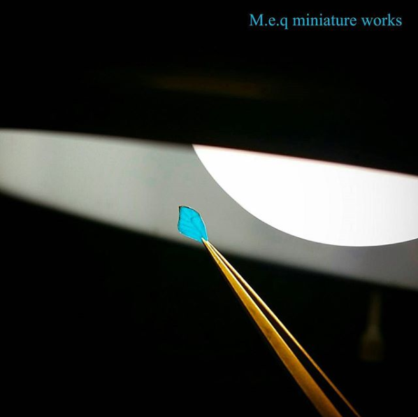 �y���̃n�l�z���쁕�ʐ^�^meq