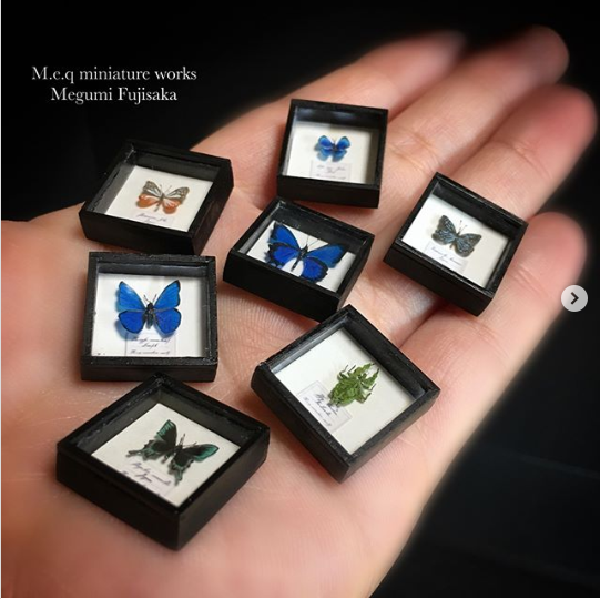 �y���̕W�{�A�[�g�z���쁕�ʐ^�^meq