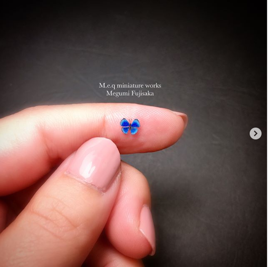 �y�}���o�l�A�J�l�^�e�n�z���쁕�ʐ^�^meq