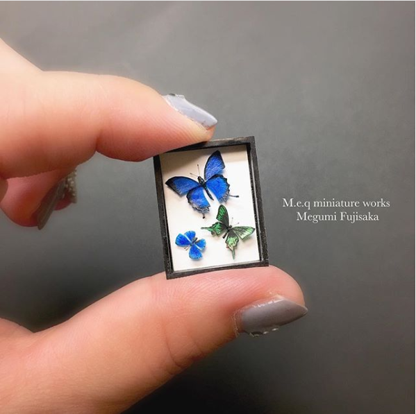 �y�����V�X �A�}���o�l�A�J�l�^�e�n �A�~���}�J���X�A�Q�n�̕W�{�A�[�g�z���쁕�ʐ^�^meq