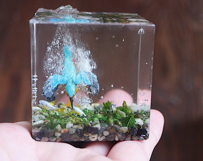 �y��ɐ����悭��э���ŋ���߂�J���Z�~�̃C���e���A�z����E�ʐ^�^sawamin