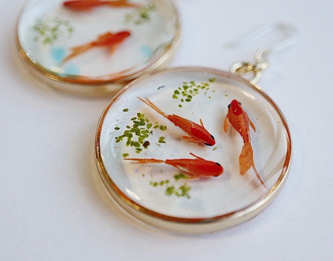 �y�����̃s�A�X�z����E�ʐ^�^sawamin