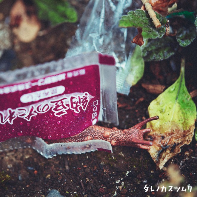 新種のカタツムリ？ 独自のセンスでSNS上をザワつかせた変なガチャ