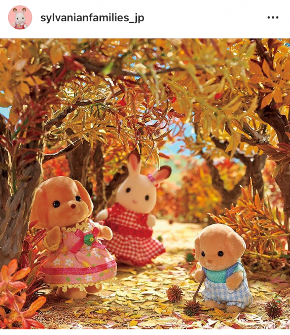 �g�t�����ɗ����V���R���E�T�M����񂽂��B��������̐F�ɐ��܂��Ă��ĂƂ��Ă����ꂢ�ł��ˁ�