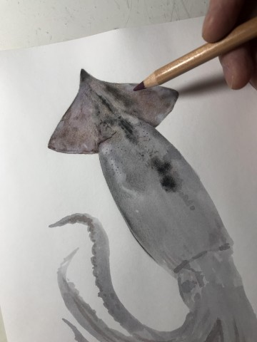 �X�����C�J�@����ߒ�