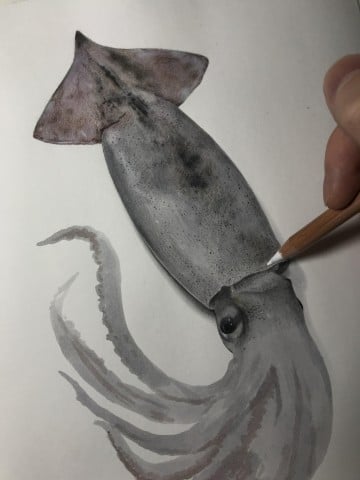 �X�����C�J�@����ߒ�