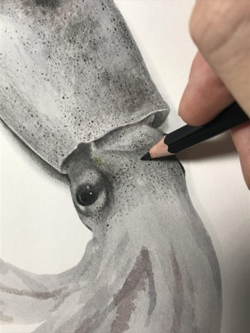 �X�����C�J�@����ߒ�