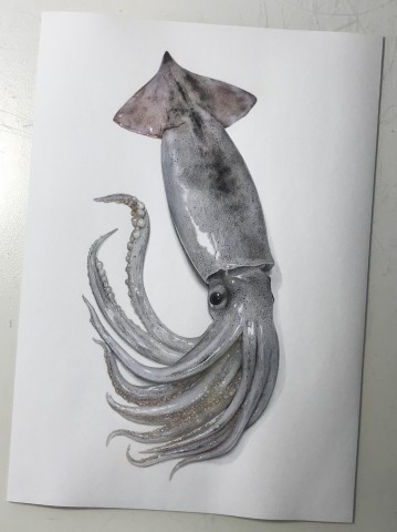 �X�����C�J�@����ߒ�