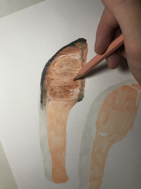 �V���P�@����ߒ�