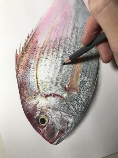 ��@����ߒ�