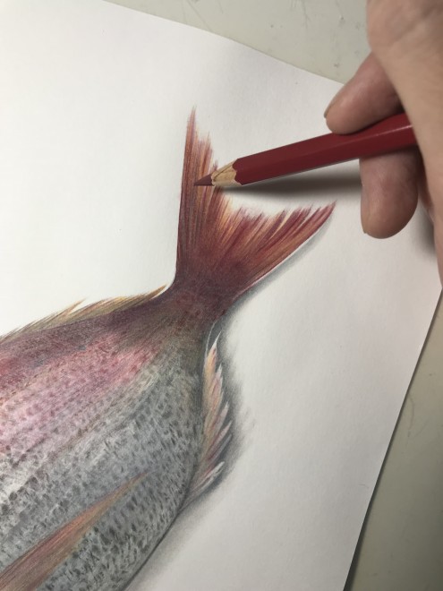 ��@����ߒ�