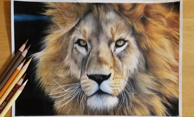 すべての動物の画像 上ライオン 絵 リアル