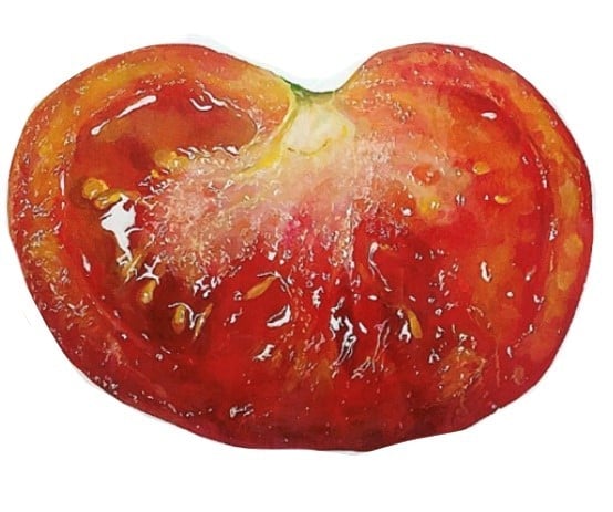 �摜�񋟁F���X����