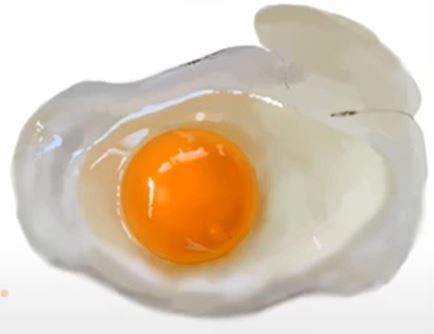 �ڋʏĂ��F����ߒ�